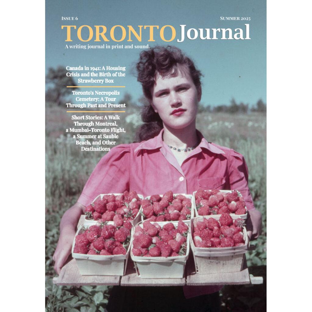 Issue 6 cover